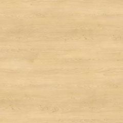 Compact Panel Element 455 sand birch